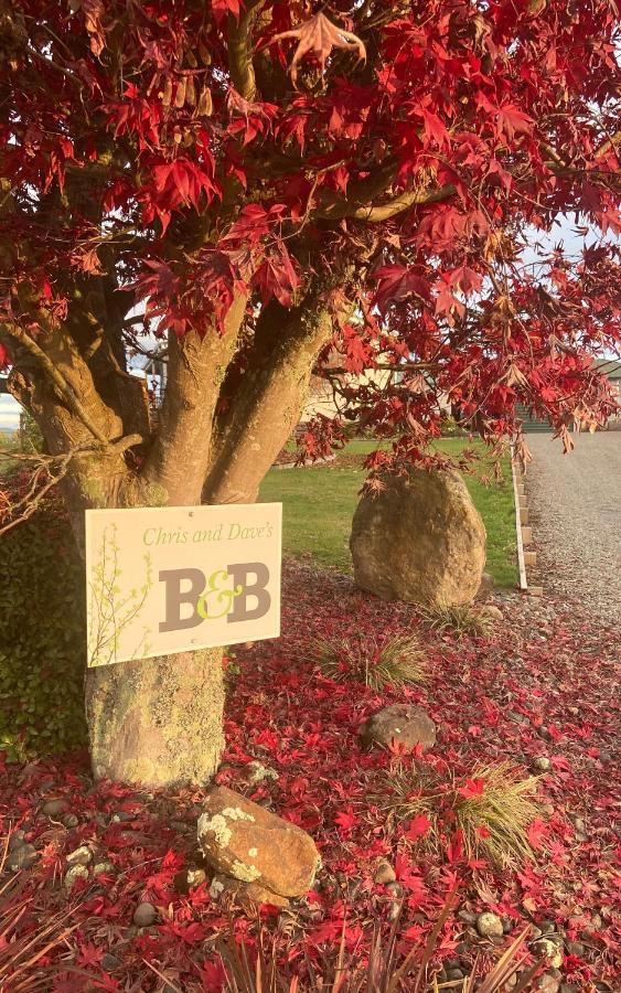 Chris And Dave'S B & B Otorohanga Esterno foto